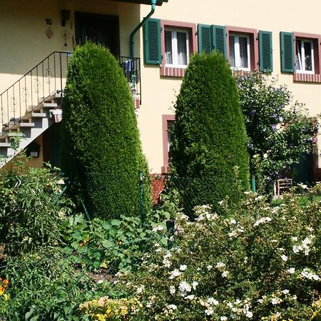 Dani'S Ferienwohnung Freiamt Екстериор снимка