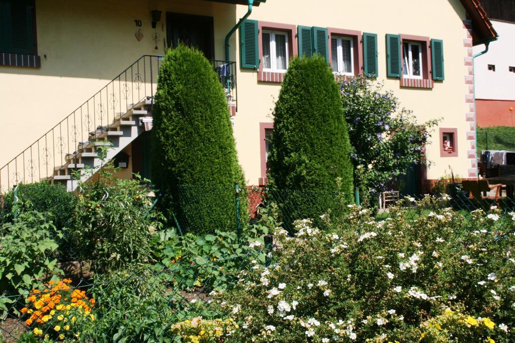 Dani'S Ferienwohnung Freiamt Екстериор снимка